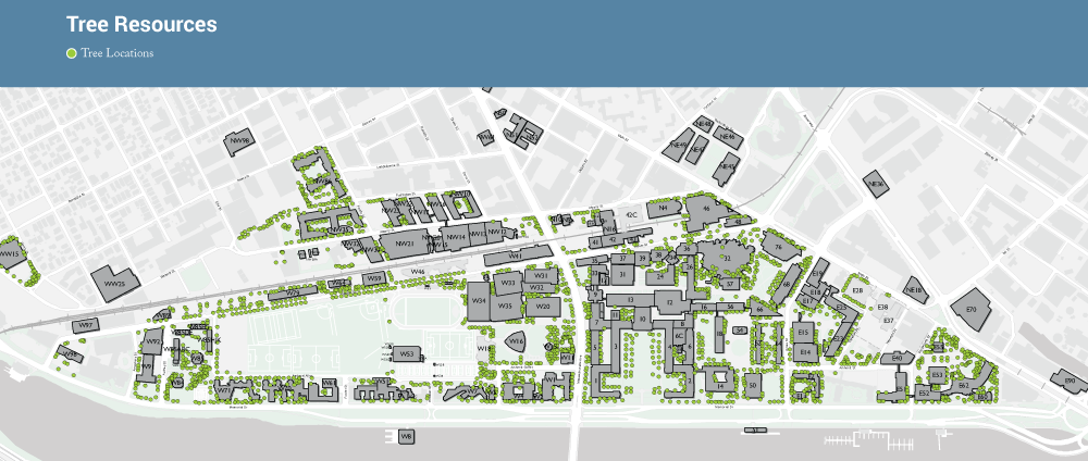 Map of Tree Resources on Campus